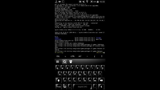 How To Download Ngrok in Termux just in 3minutes.. смотреть онлайн