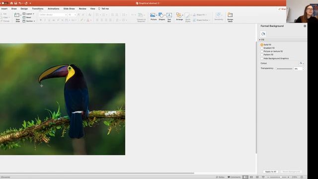 Graphical Abstract Part 3 смотреть онлайн