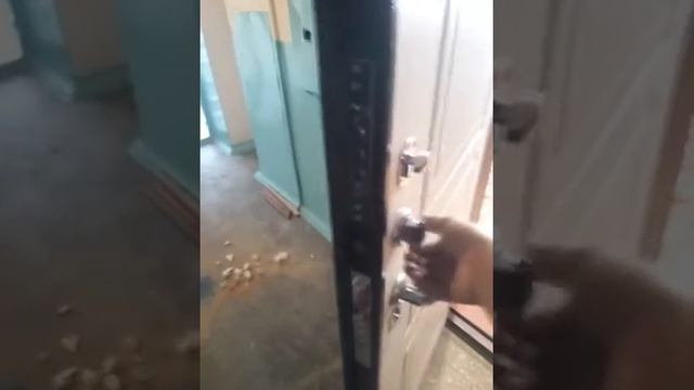 СЕЙФ-ДВЕРЬ ДА-5/2 ЯСЕНЬ БЕЛЫЙ, ВЕНГЕ смотреть онлайн