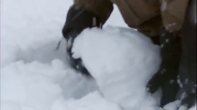 ALASKA SON SINIRDA HAYATTA KALMAK - 1.Sezon - 5.Bölüm смотреть онлайн
