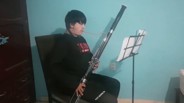 Audicion Nereidas Fagot Carsten Eduardo Becerra Adriani смотреть онлайн