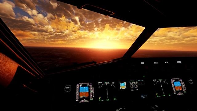 4K | DHL 737-800 ULTRA RAIN Graphics Sunset Cockpit Landing At Memphis Airport | A MSFS Experience смотреть онлайн