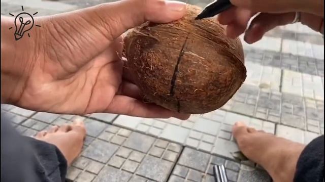 how to make a bowl | using coconut shell | nature смотреть онлайн