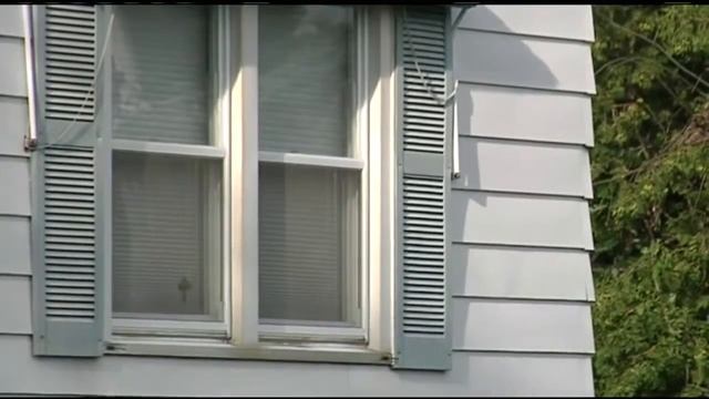 Preventing children from falling out windows смотреть онлайн