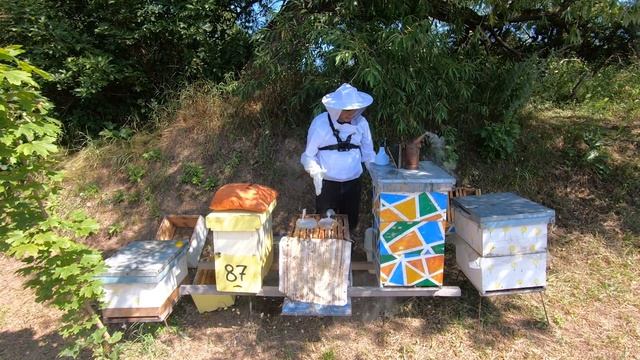 Зачем даю пчёлам хлорку и кобальт + рецепт. Пчеловод выходного дня. смотреть онлайн