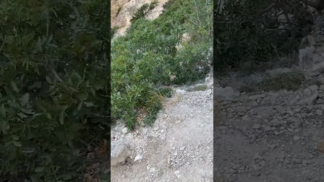 #Крым …Мыс Фиолент…спуск N1 к морю жесть…20.08.2021