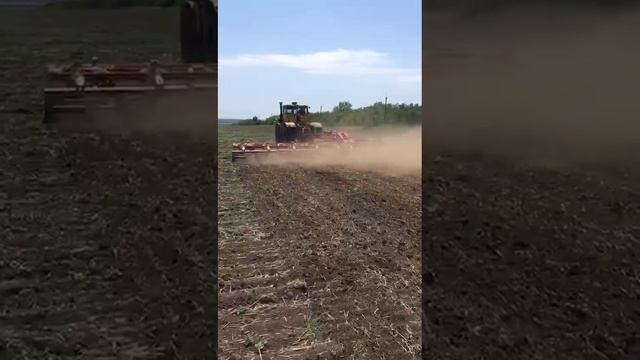 Тайлер 12м4р