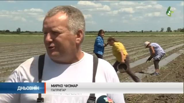 Пресадзованє пожнї пре хвилю/Presadzovanje poznji смотреть онлайн