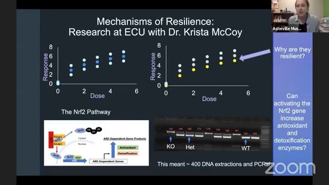 Ask a Scientist | Endocrine Disruption with Abby Malmborg смотреть онлайн