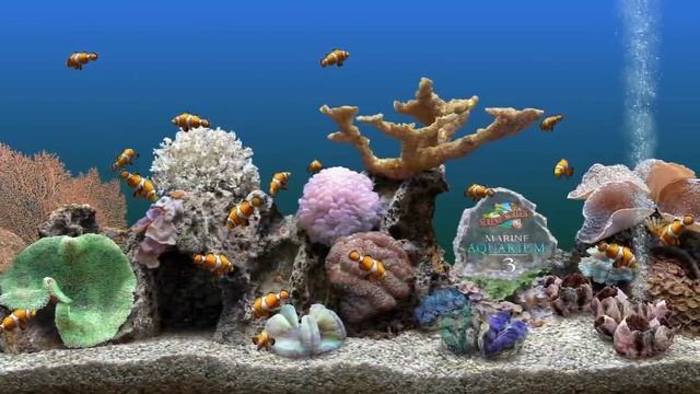 Best Aquarium ScreenSavers смотреть онлайн