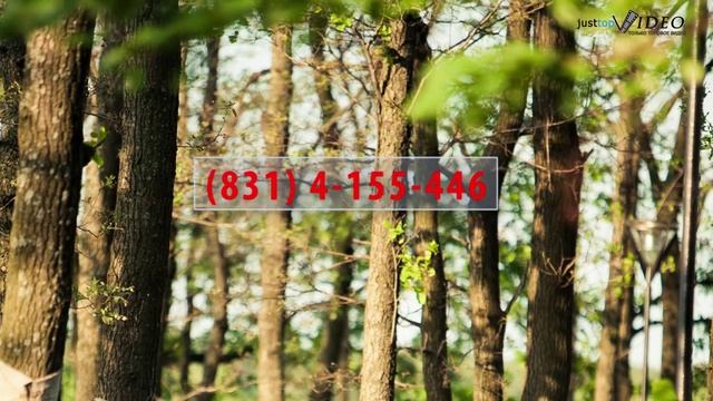 z polyana sound 6 смотреть онлайн
