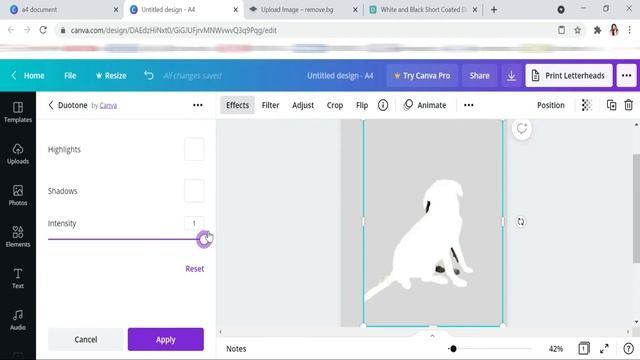 HOW TO CREATE AN OUTLINE OF AN IMAGE ON CANVA || HOW TO ADD AN OUTLINE TO A PHOTO смотреть онлайн