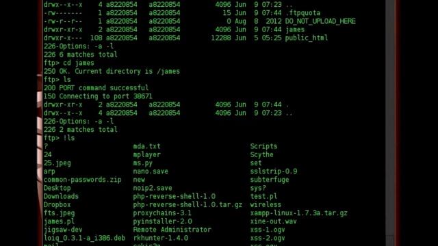 Connecting to FTP Server with Linux Terminal (Beginners) смотреть онлайн