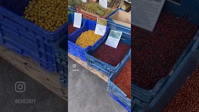 Рынок в Турции это рай ПОЧЕМУ?! смотреть онлайн