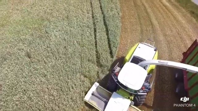 Class Jaguar 950 смотреть онлайн