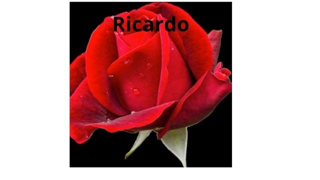 Mac Band - Roses Are red 1988 смотреть онлайн