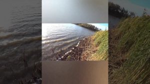 Открытие охоты на утку 2024