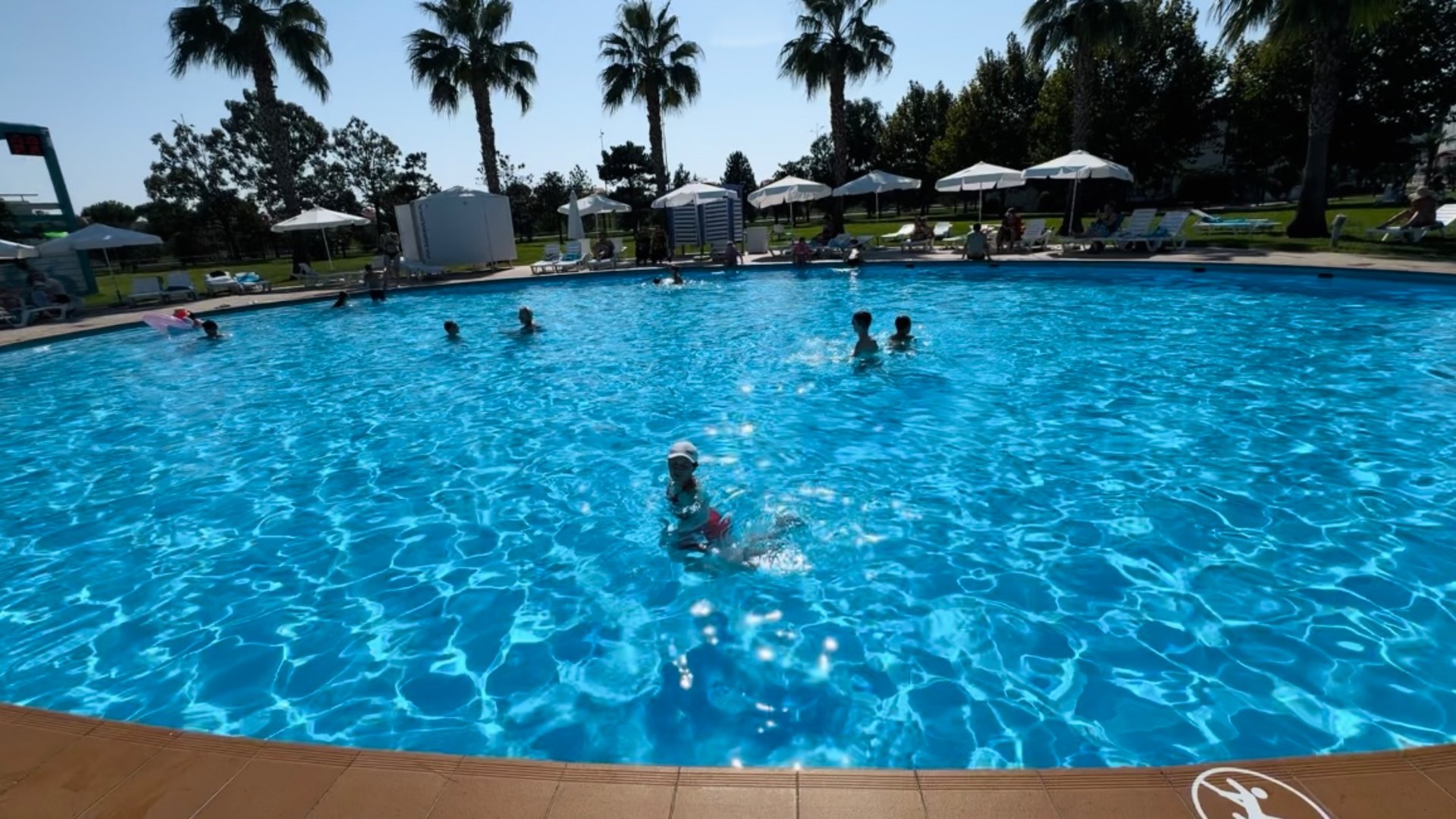 Сочи Парк Отель 2024 🐬 Купаемся в бассейне! 🌊 Очень красивая территория в отеле! смотреть онлайн