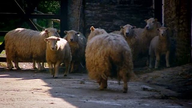 Эдвардианская ферма 9 серия «Май» (документальный сериал, 2010) смотреть онлайн