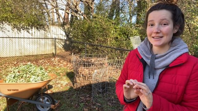 Is this our last garden tour for the year?? // Garden Tour Week 19 смотреть онлайн