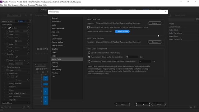 Free up space on C drive from Adobe Premiere Pro смотреть онлайн