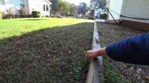 Газон Своими Руками Как Это Делают В Сша