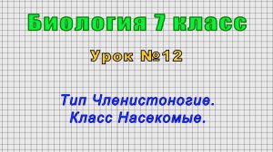 Биология 7 класс (Урок№12 - Тип Членистоногие. Класс Насекомые.)