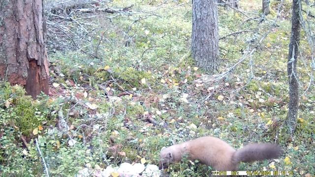 IMAG0024 смотреть онлайн