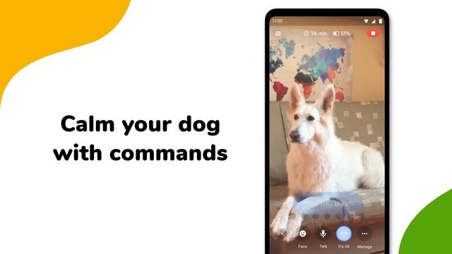 Barkio: Dog Monitor & Puppy Video Cam for Pets смотреть онлайн
