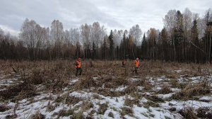 Охота на лося 17.10.2024