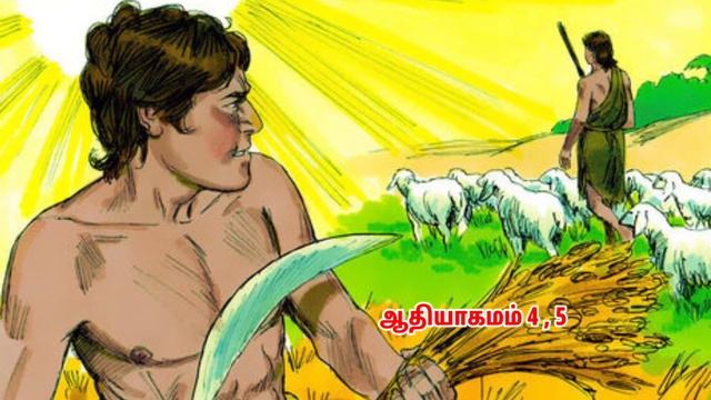 ஆதியாகமம் விளக்கம் | Genesis In Tamil | Bible Study In Tamil | BIBLE WISDOM TAMIL