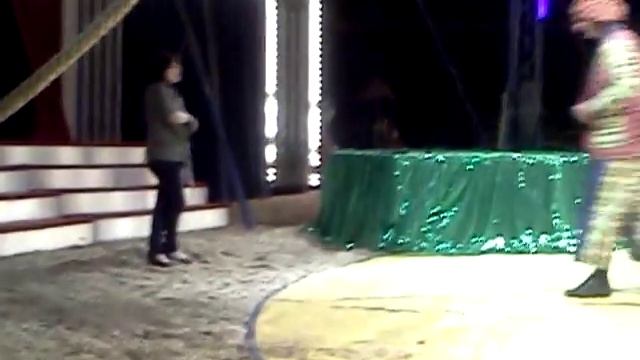 Circus Olympia смотреть онлайн
