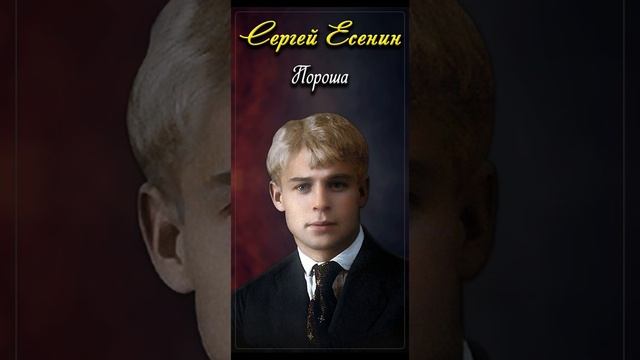 Пороша - Сергей Есенин (читает Расул Давлетов) #shorts смотреть онлайн