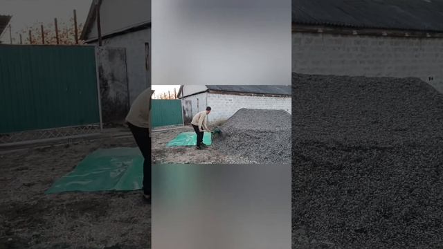 Бройлеры. Подготовка помещения день 5. Засыпаем пол шелухой смотреть онлайн