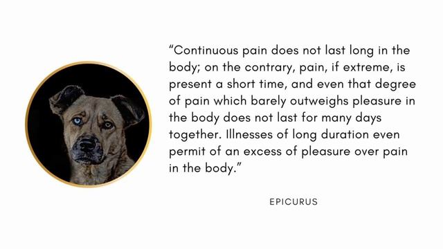 Epicurus, “Continuous pain does not last long in the body (...)”. смотреть онлайн