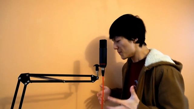 Outside my Window／SHOW-GO／Beatbox Cover【こぴってみた】 смотреть онлайн