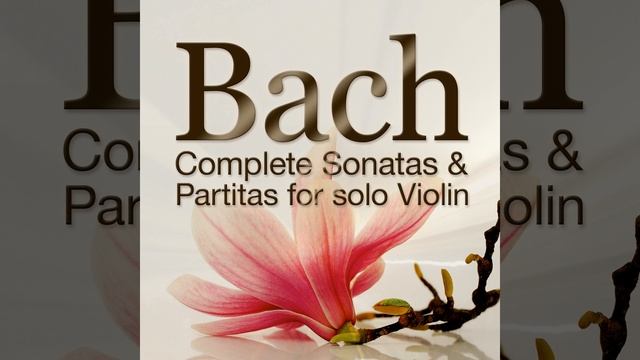 Sonata No. 3 in C Major for Solo Violin, BWV 1005: I. Adagio смотреть онлайн