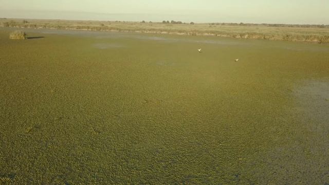 Danube Delta, Crisan-Sulina 2017 смотреть онлайн