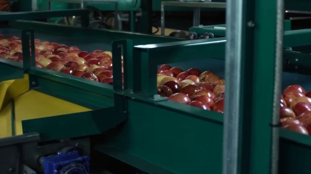 Apple Pre-sizing - Full HD Highest Quality.mov смотреть онлайн