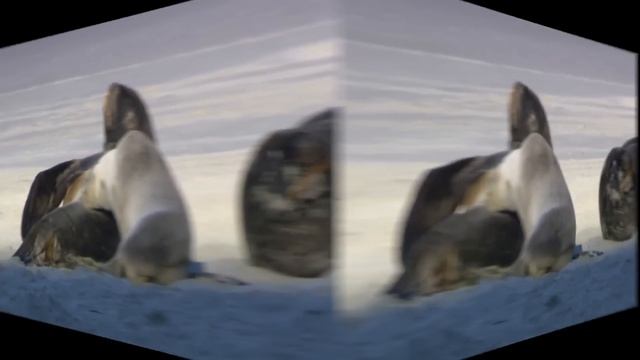 xXMLG Pro Horse Scope 360 No Windows 7 Sample Video Skrill DropXx смотреть онлайн