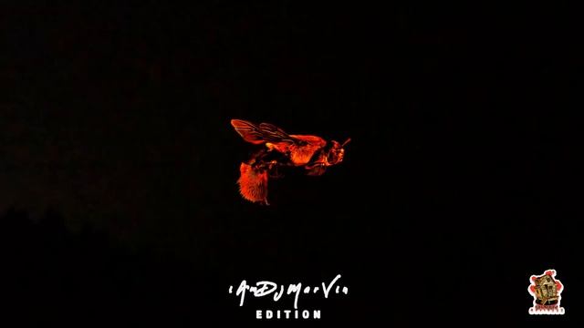 Drift remix TeeJay X ShabbyMusic868 (iAmDjMarVin) PROMO ONLY смотреть онлайн