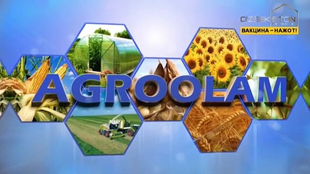 Agroolam | Жалақудуқ туманида қишлоқ хўжалиги ишлари [11.08.2021] смотреть онлайн