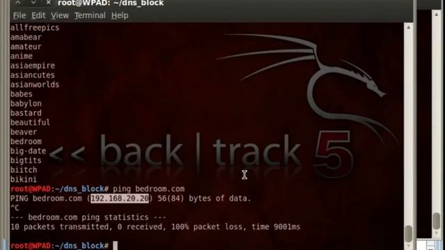 DNS Sinkhole APT Defense смотреть онлайн