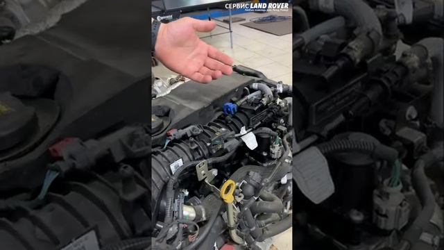 Jaguar F-Pace. Как перевести коробку передач на нейтраль☝️😁 смотреть онлайн