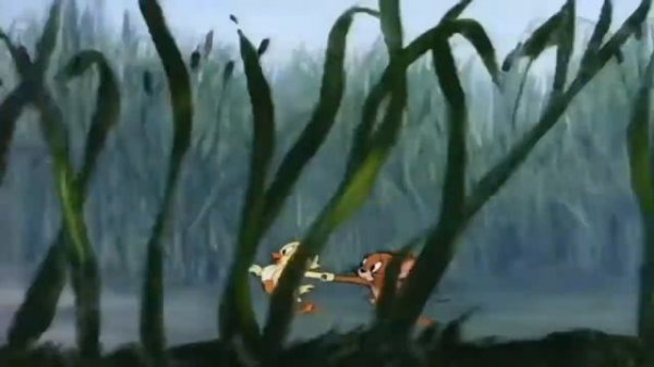 Tom and Jerry, томи чери