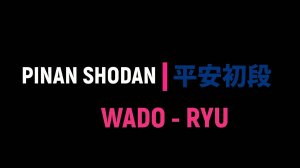 Вадо-рю ката Пинан-Шодан