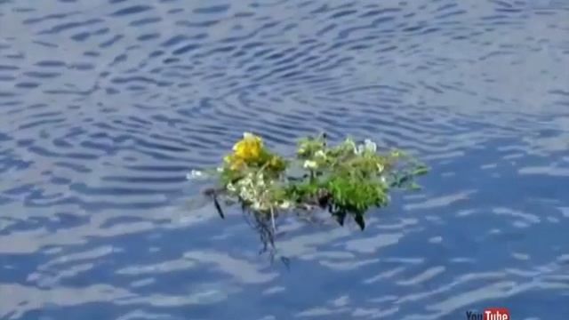 В ночь на Ивана Купалу в Новозыбковском районе бросали венки в реку смотреть онлайн