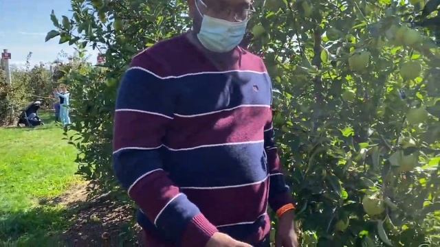 Apple picking vlog | pick your own apples | Apple farm in USA | telugu vlogs from usa смотреть онлайн
