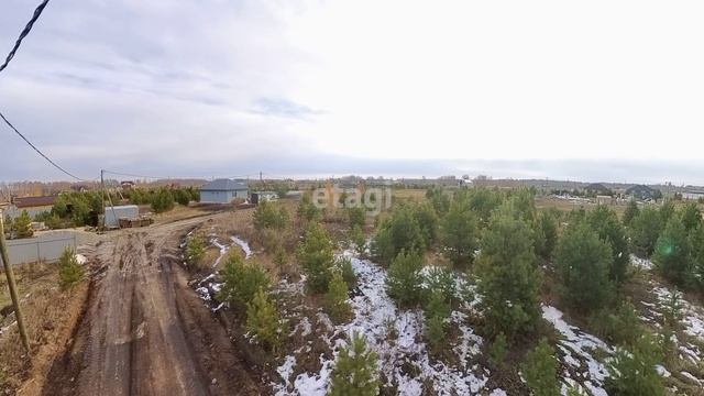 3784079 смотреть онлайн
