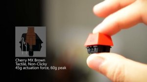 Cherry MX Switches Sound (Black, Red, Brown, Clear, Blue)